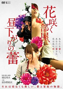 花样年华 经典珍藏海报